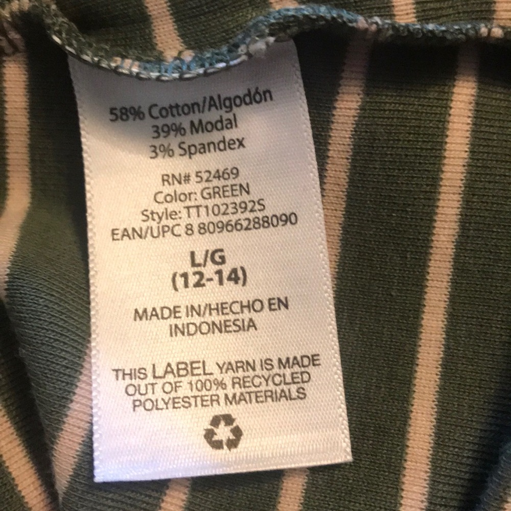 Time and Tru Sage Green Striped Long Sleeve Tee Lg - Picture 6 of 7